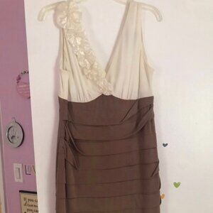 Women's Dress 12P